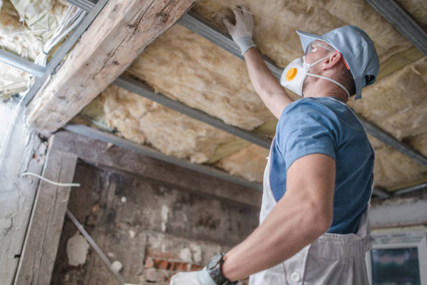 Best Insulation Maintenance and Repair in West Point, MS